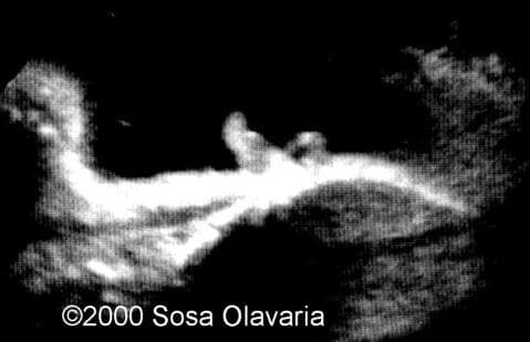 foto8