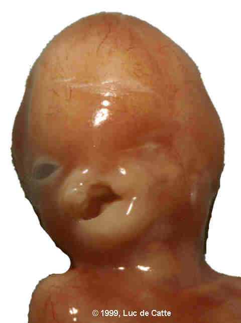 image001