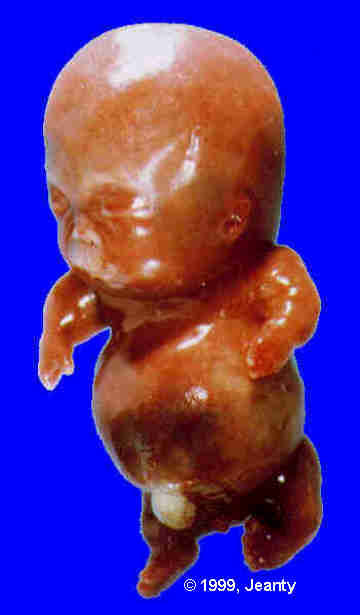 image007