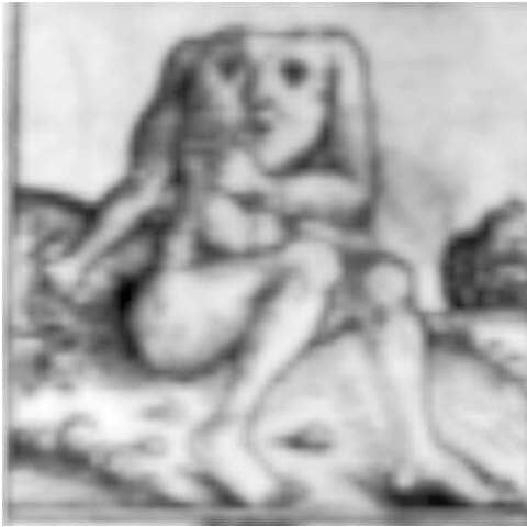 image17