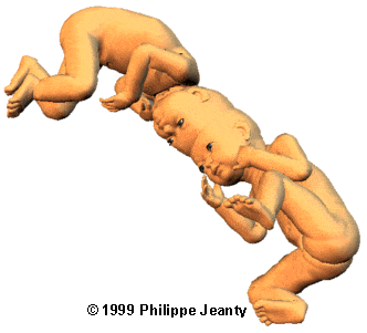 image48