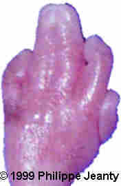 image57