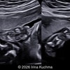 Case of the Week # 656