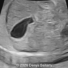 Case of the Week #653