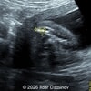 Case of the Week # 660