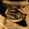 Case of the Week #637