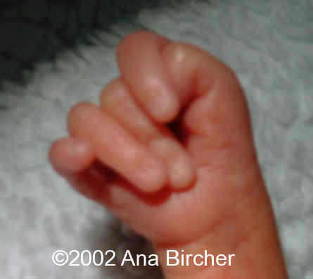 pict0147