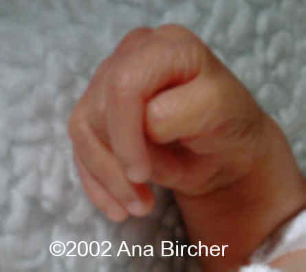 pict0152