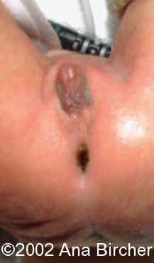 pict0164
