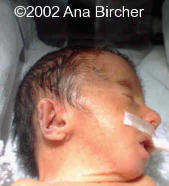 pict0171