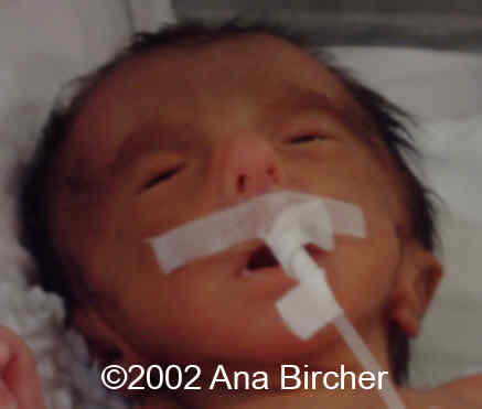 pict0187