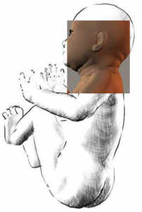 position4