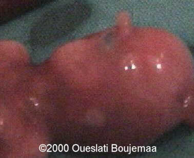 profil2_11sa5j